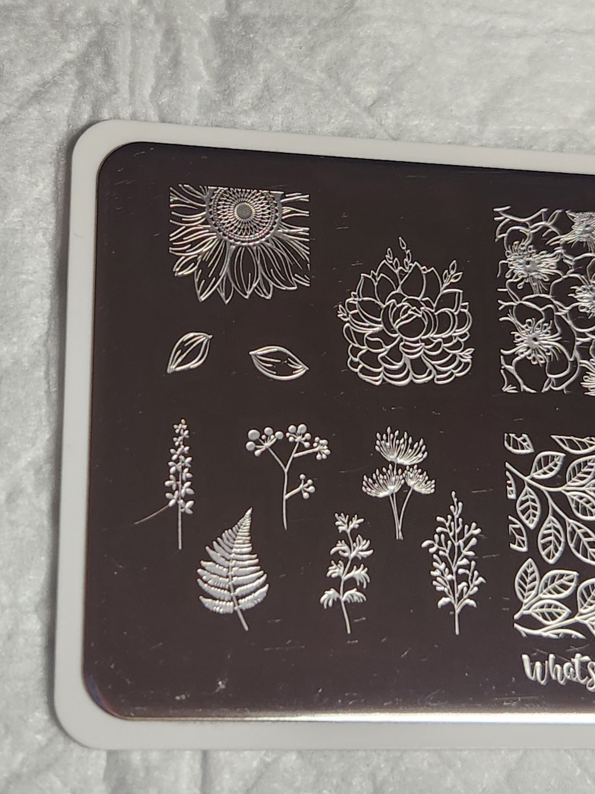 What’s Up Nail Stamping Plate B044 – From Ground Comes Life