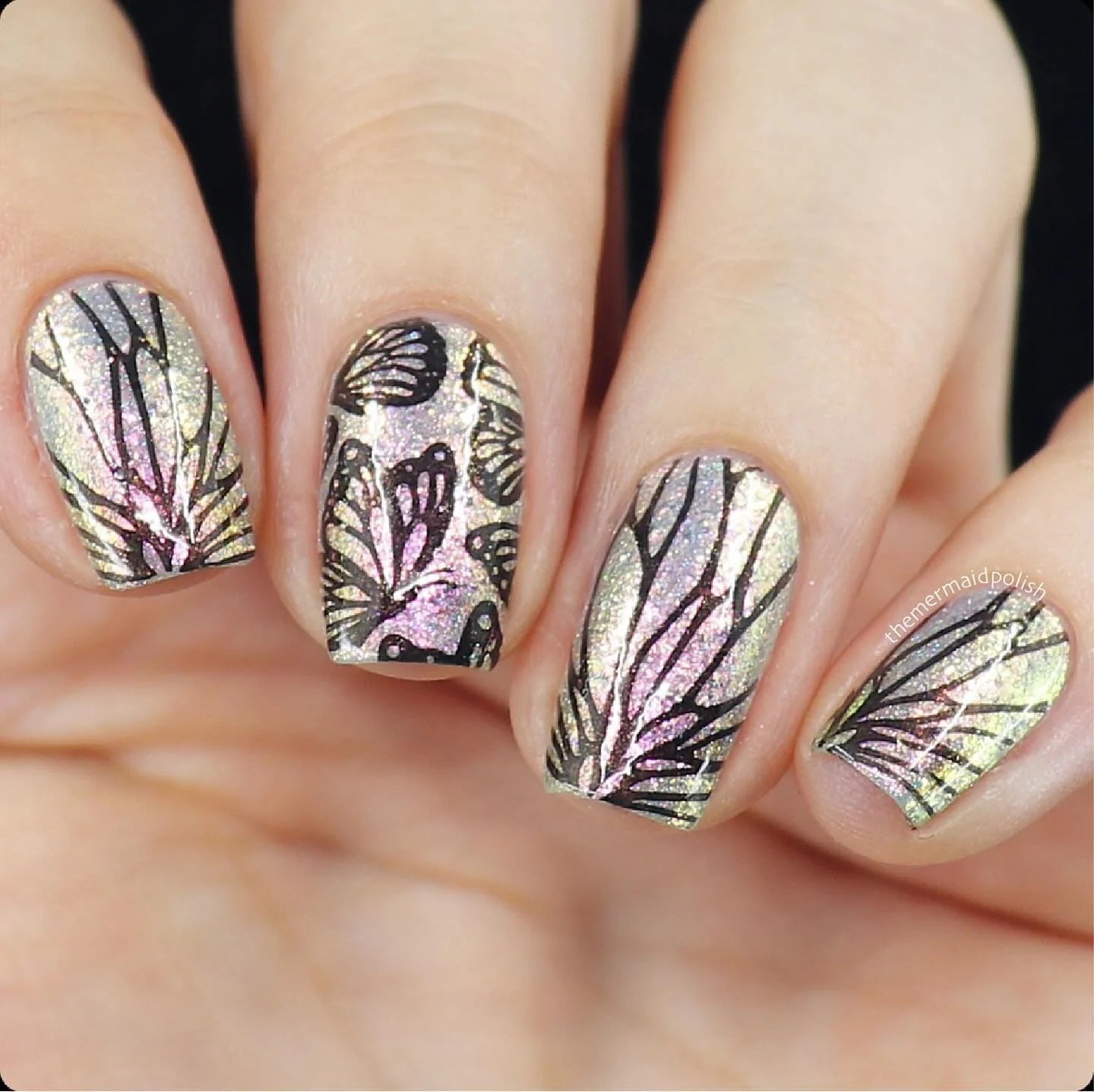 Sky Dancers: Flutter Pirouette (MXM123) – Nail Stamping Plate