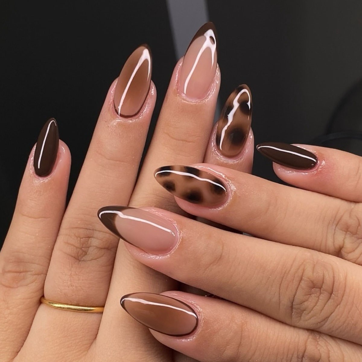 Leopard Print Almond Press On Nails Black Brown Medium Length
