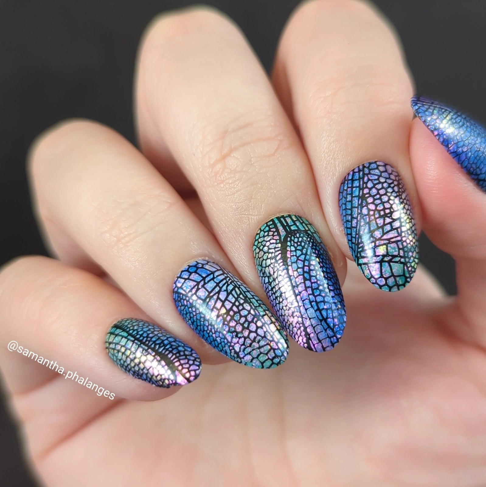 Sky Dancers: Flutter Pirouette (MXM123) – Nail Stamping Plate