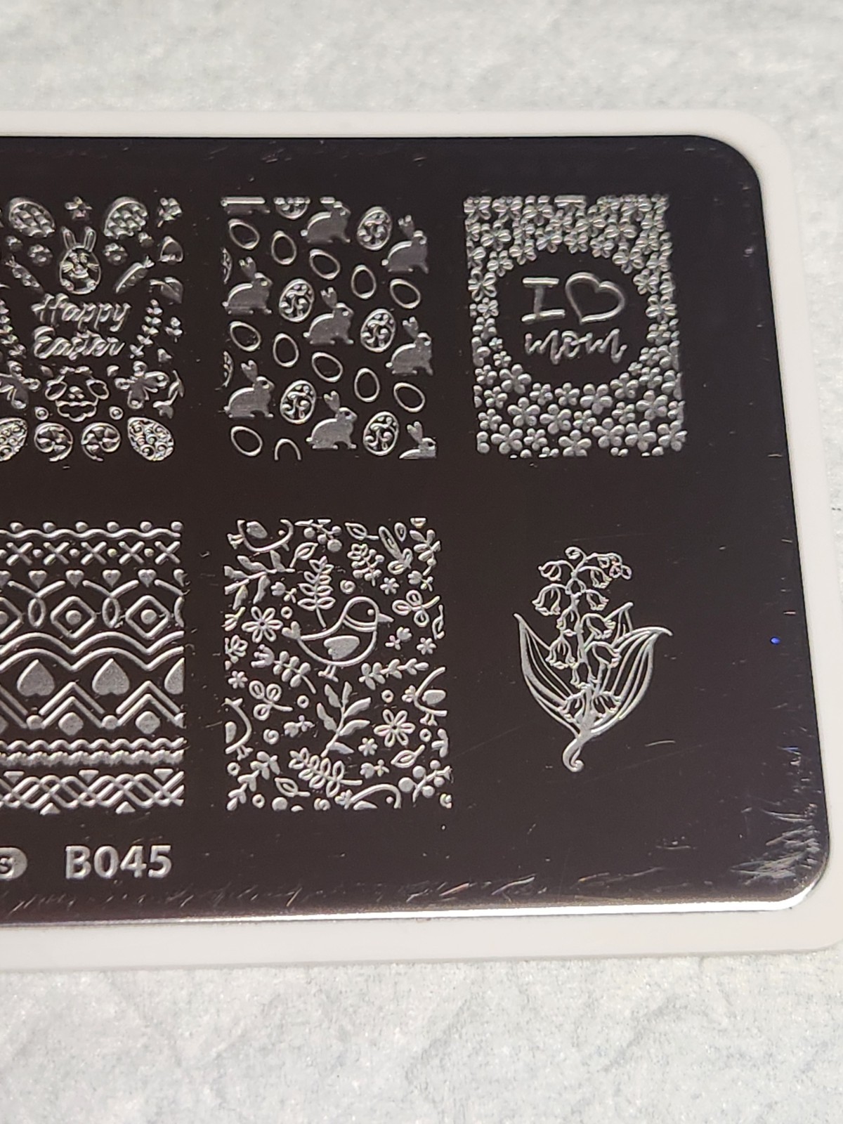 What’s Up Nail Stamping Plate B045 – Sprung on Spring