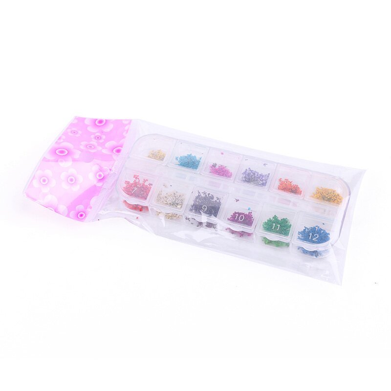 Natural Dry Flower Botanical Nail Art Decorations UV Gel Tips Manicure Accesorie