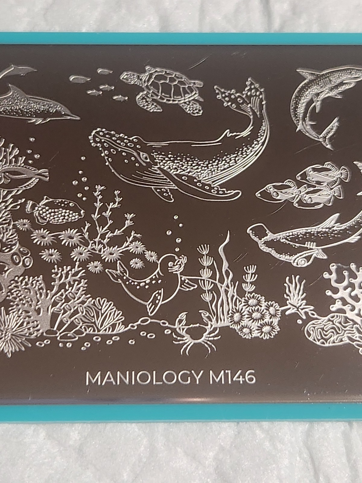Maniology Nail Stamping Plate – M146 – ocean, sea life