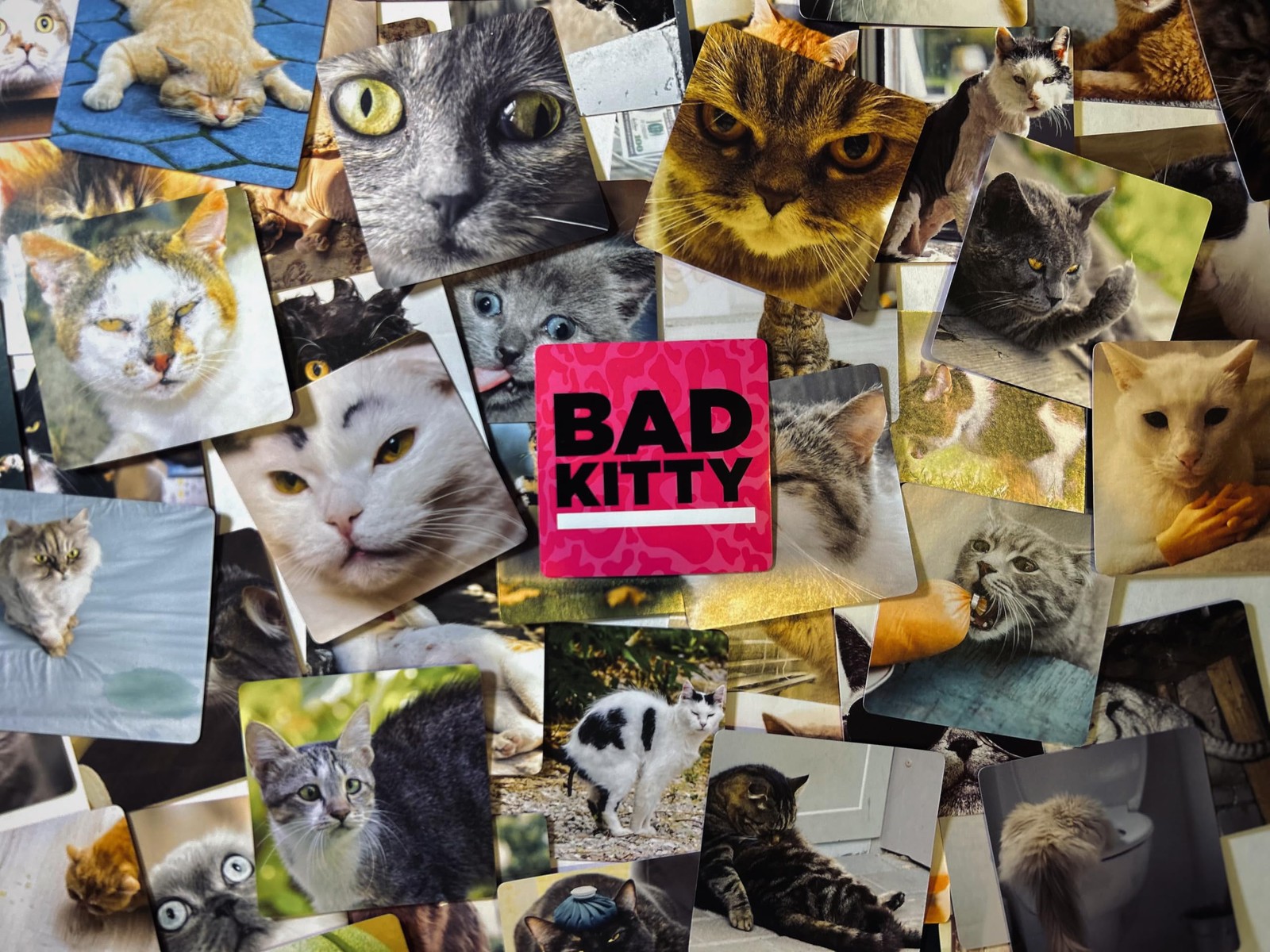 Bad Kitty 5.5 inches x 4.5 inches, Black and White With Colorful Accents