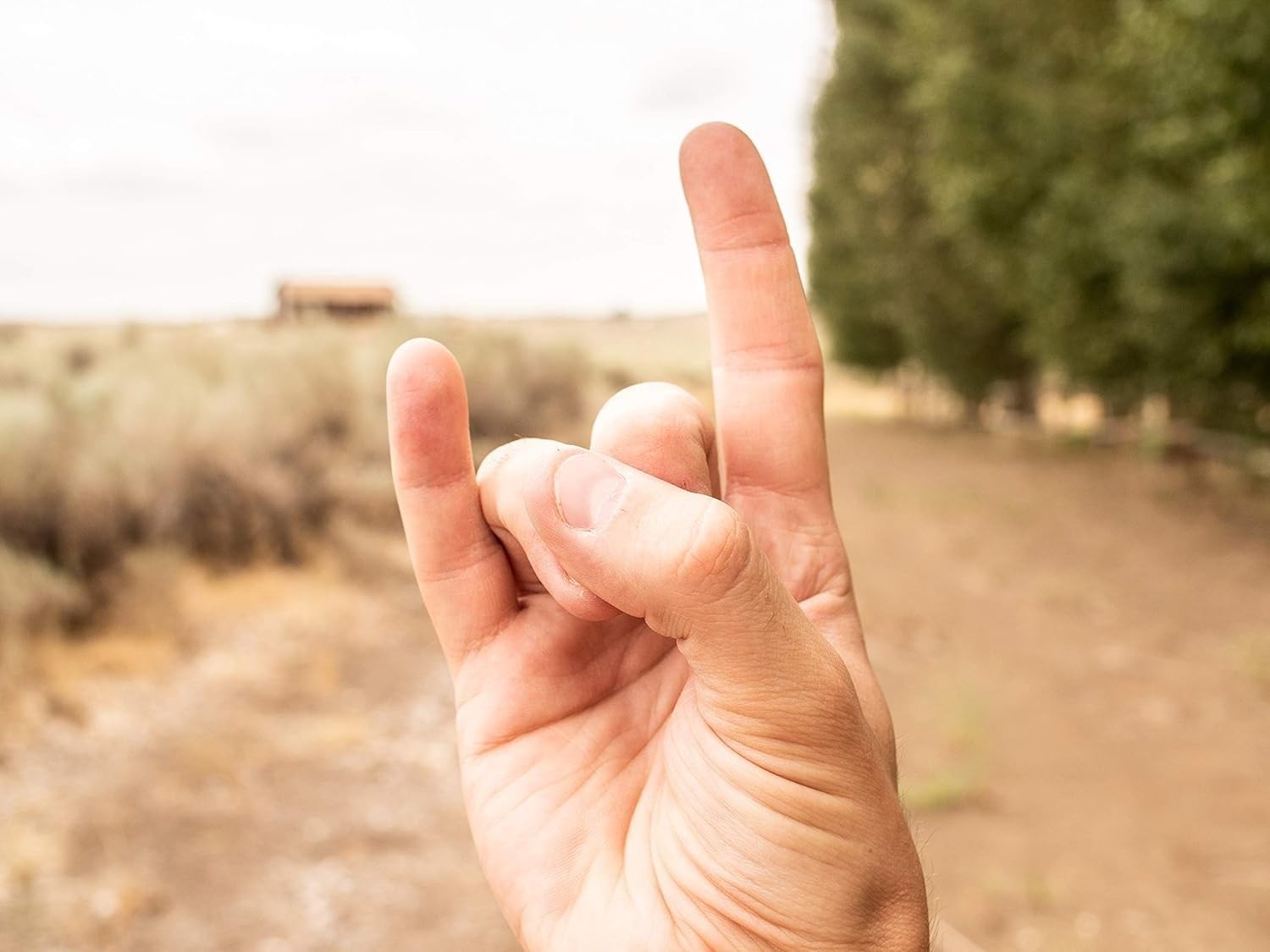 Finger Guns at High Noon by Indie Boards & 7.87 x 5.91 x 1.77 inches, Tan