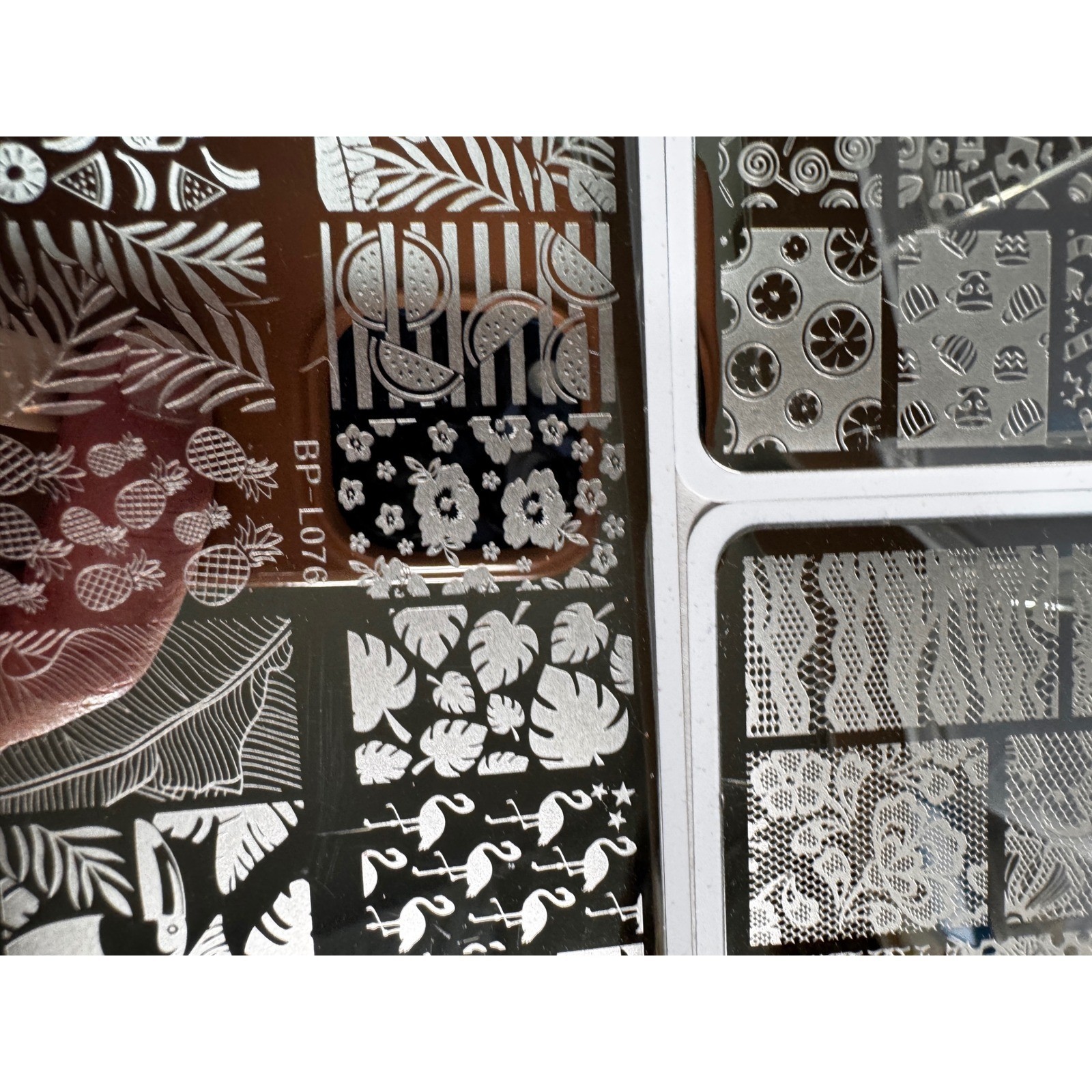 Born Pretty Nail Stamping Plates Set 6pc Silver New Floral Lace Tropical Animal