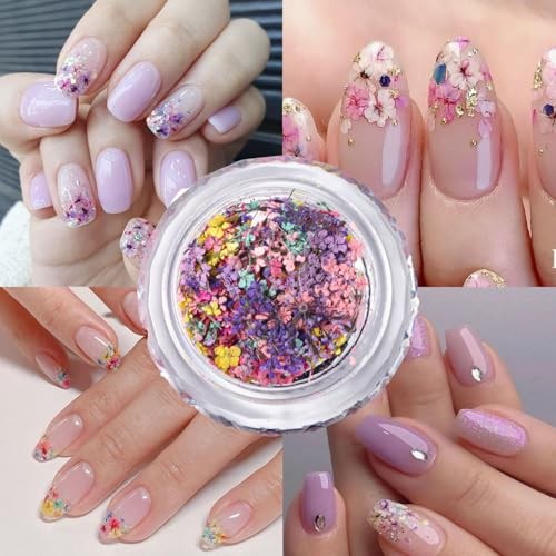 Spring Dried Flowers Nail Art Stickers Decals, Colorful 3D Dry Flower Style-4