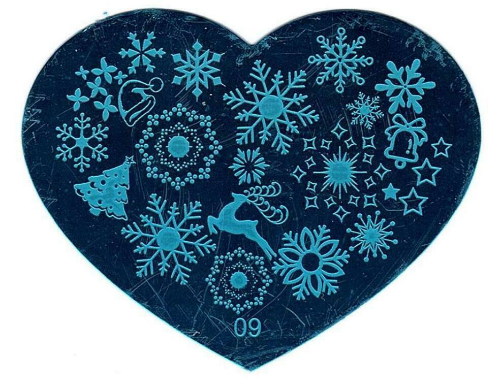 10 Styles Nail Art Stamping Love Heart Manicure Image Plate Stamper Scraper Kit