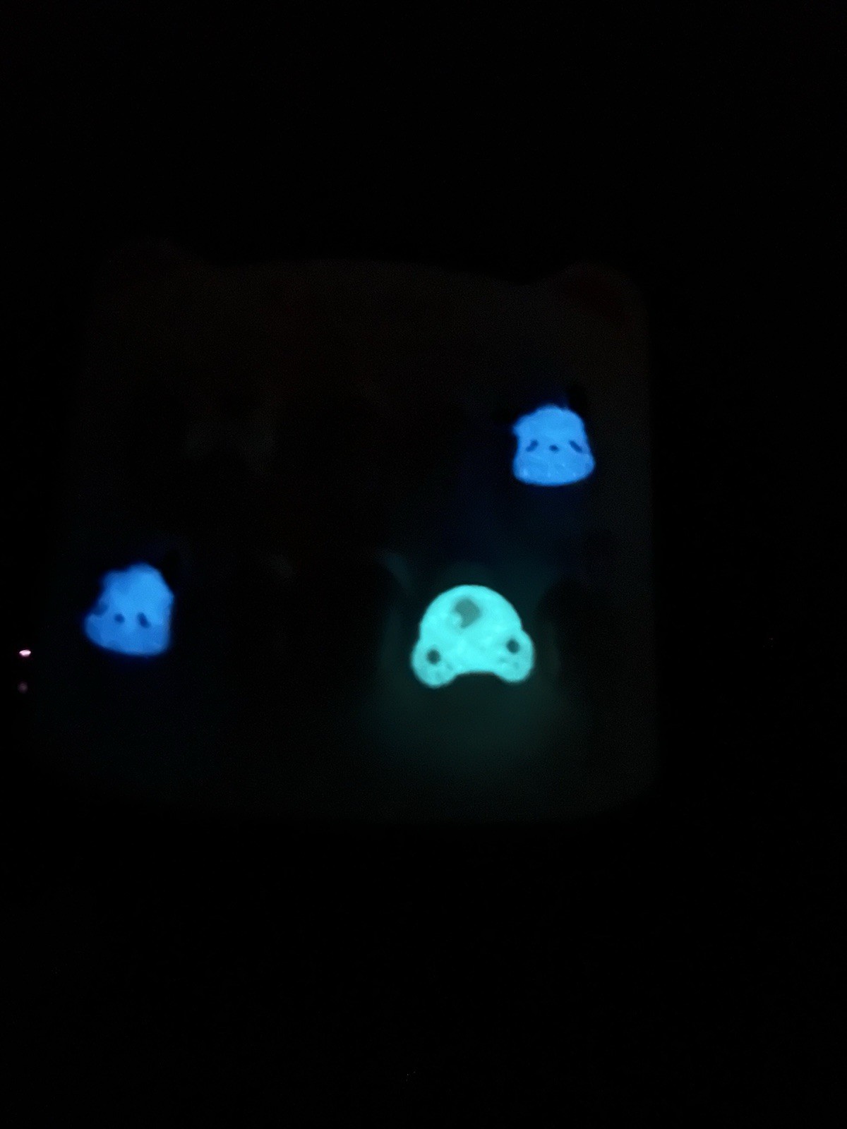 Sanrio Pochacco Short Press On Nails Glow In The Dark 3D Charms White French Tip