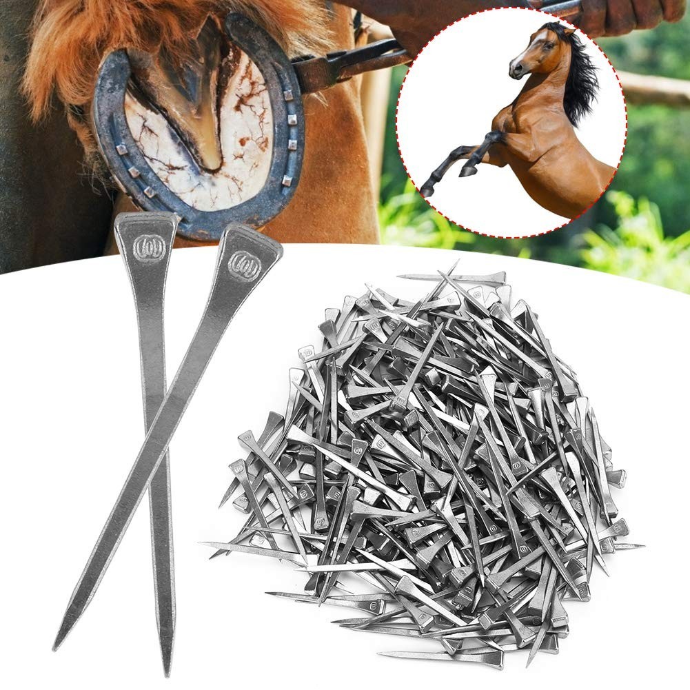 250PCS Horseshoe Nails Kit, 2.13in Steel Hoof Pegs for Equestrian Training & Too