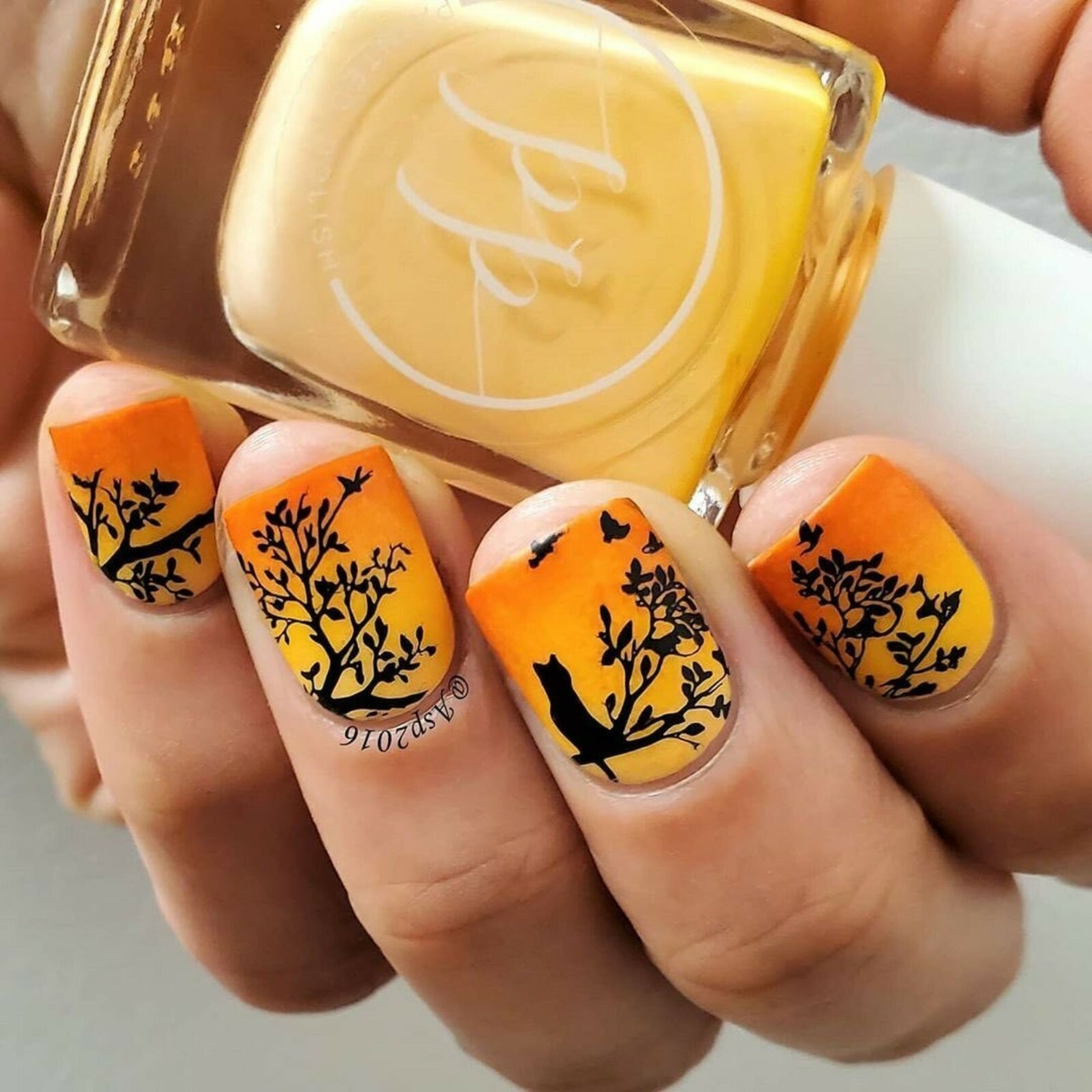 B052 sveta_sanders Stamping Plate For Stamped Nail Art Design