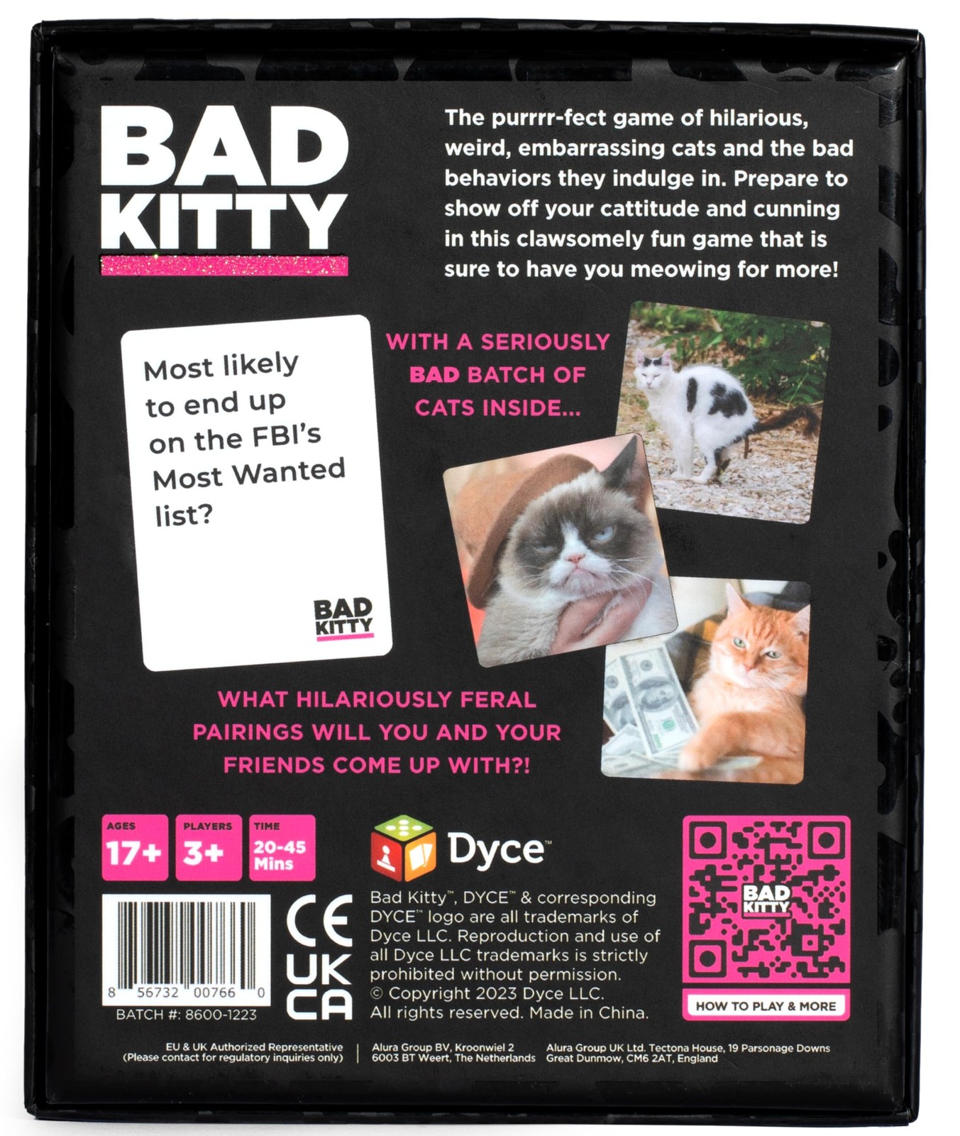 Bad Kitty 5.5 inches x 4.5 inches, Black and White With Colorful Accents