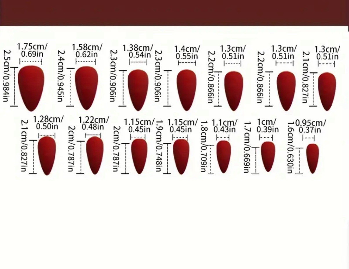 Raven 24 Pc Black Bird Night Nail Tips Boxed Glue & Tabs Nails Gothic Halloween