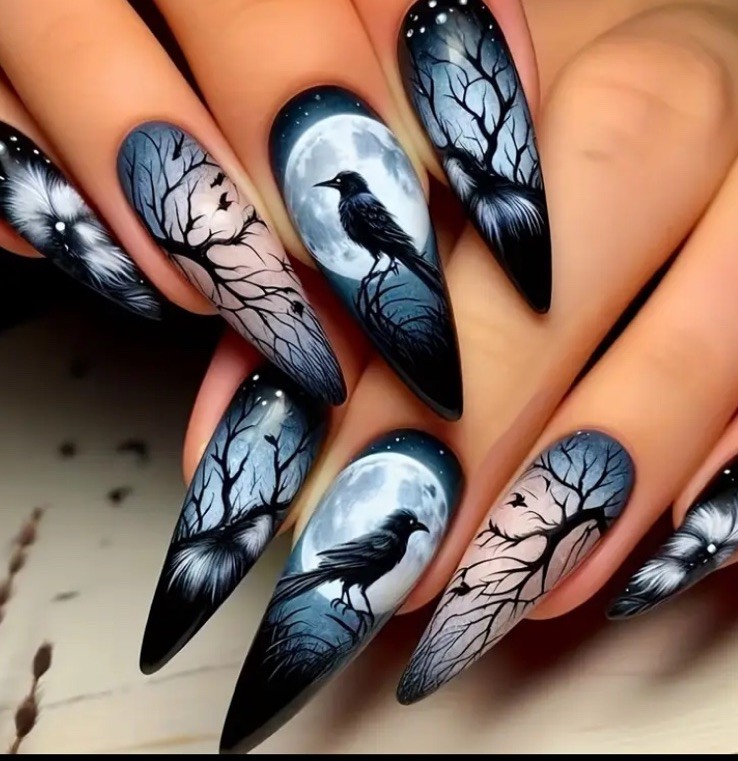 Raven 24 Pc Black & Blue Bird Night Owl Noon Nail Tips Boxed Glue & Tabs Nails