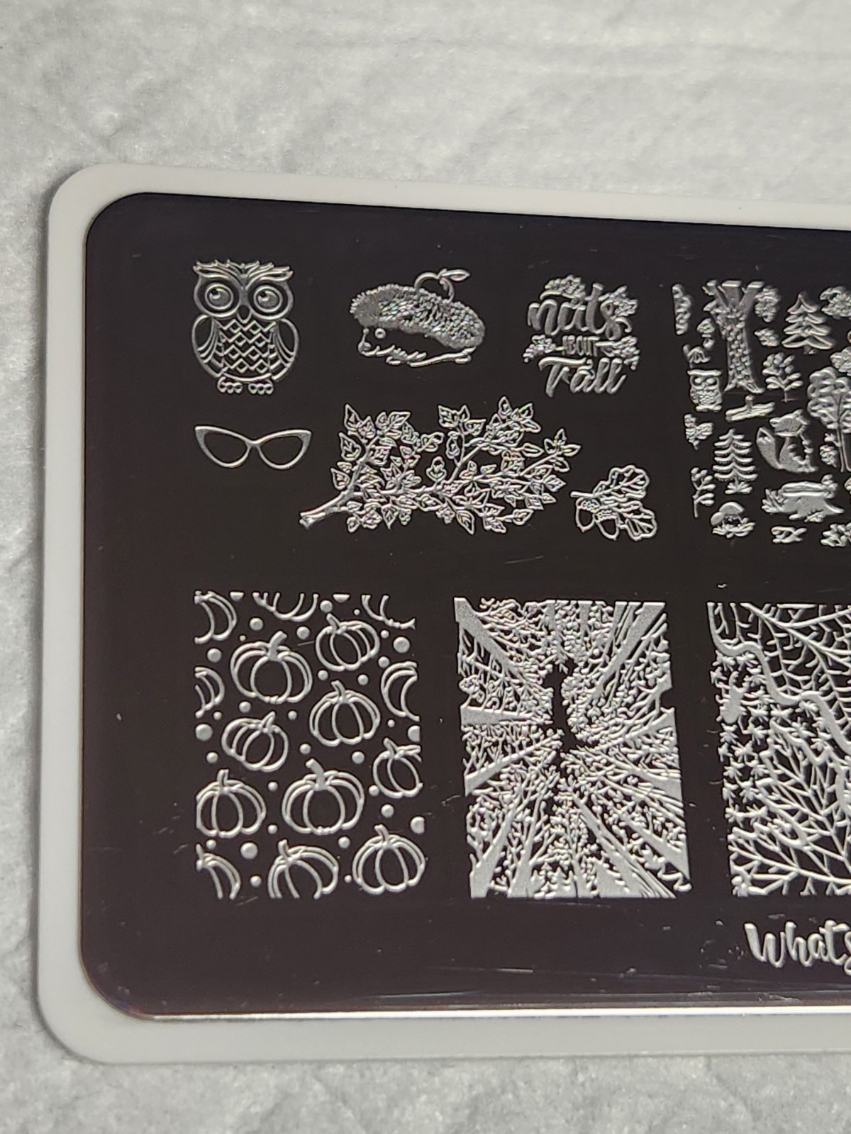 What’s Up Nail Stamping Plate B053 – That’s Pretty Autumn