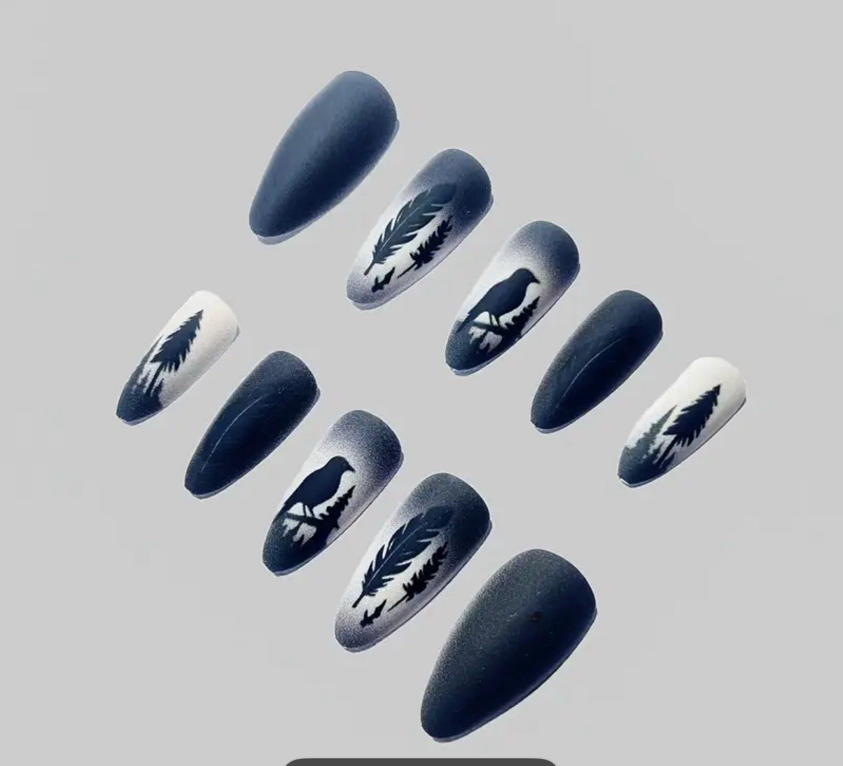 Raven 24 Pc Black Bird Night Nail Tips Boxed Glue & Tabs Nails Gothic Halloween
