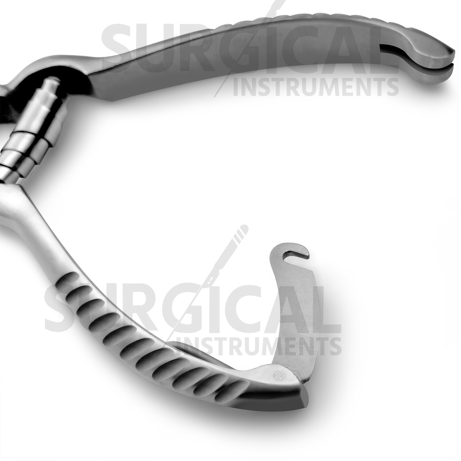 12 Pieces Toe Nail Nipper Clipper Cutter Stainless Steel Barrel Spring 5.5″