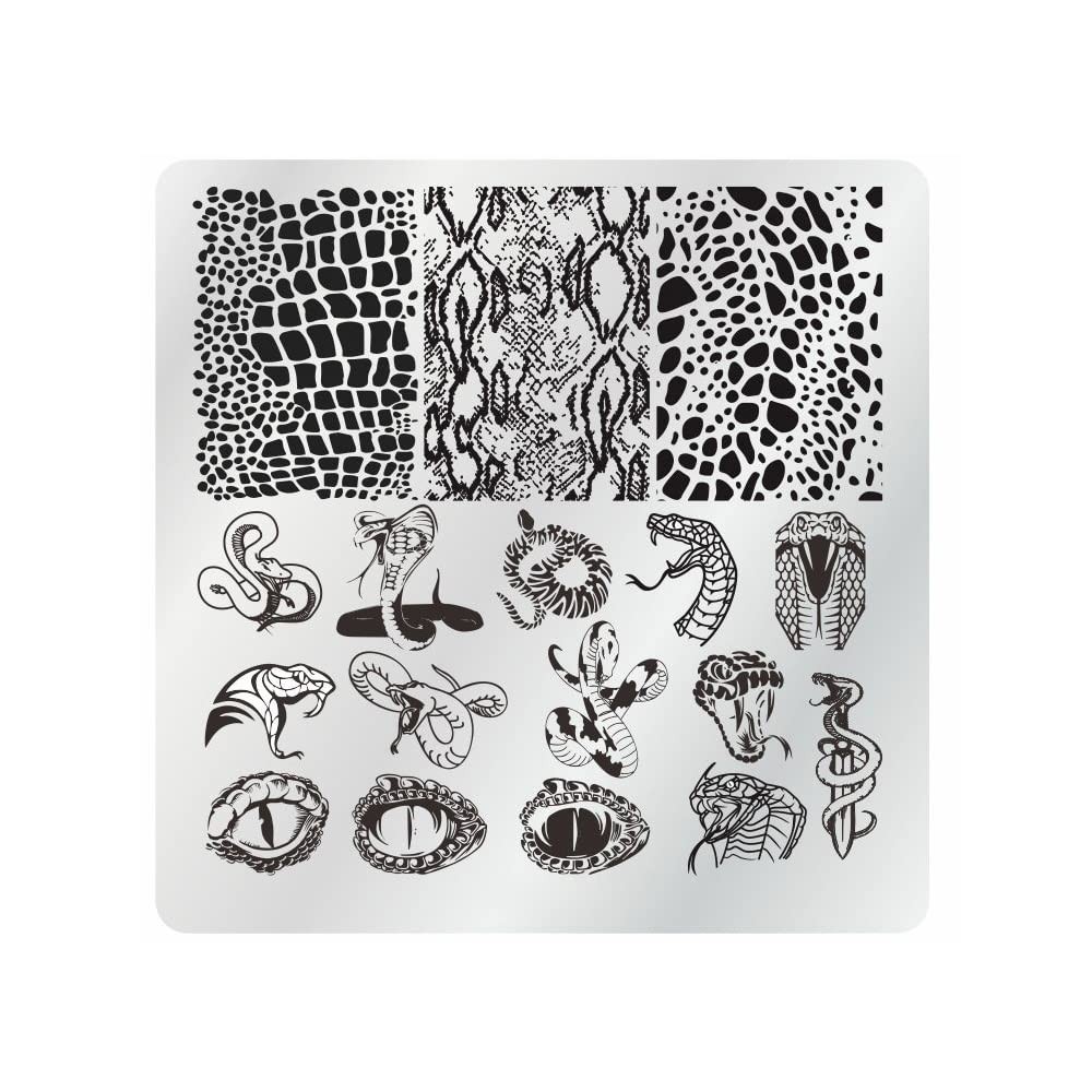 15Pcs Nail Stamping Plates Set with Stamper, Scraper & Storage Bag, 6x6cm