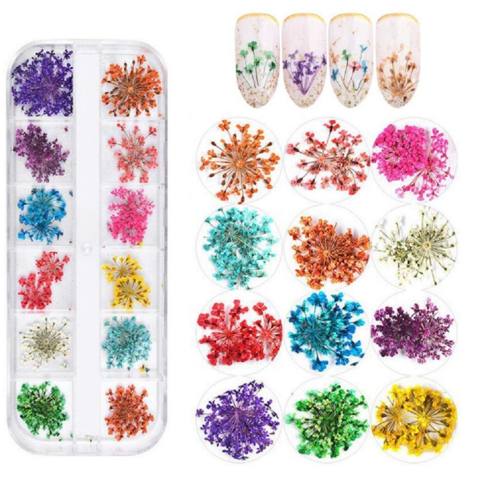 12-Color Real Dried Flowers Nail Art Set – 3D Decors DIY Manicure Tips Box