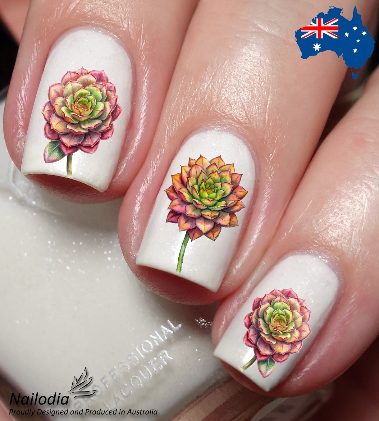 Aeonium Irish Rose Floral Flower Nail Art Decal Sticker Water Transfer Slider
