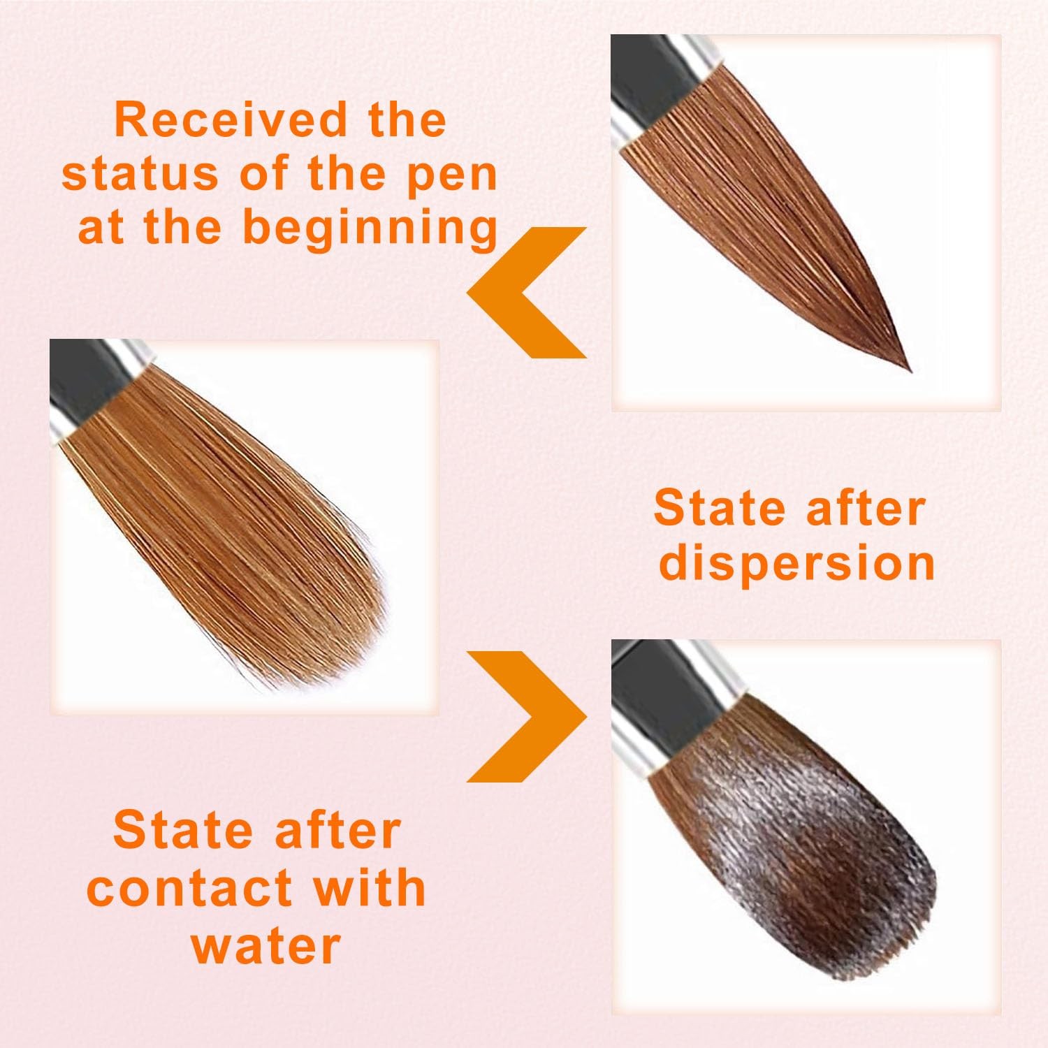 Acrylic Nail Brush Set, 4pcs Size 8/10/12/16 Professional Nail Art Brush for …