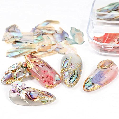 12 Grids Abalone Seashell Slices,Irregular Abalone Shell Slices Nail Art