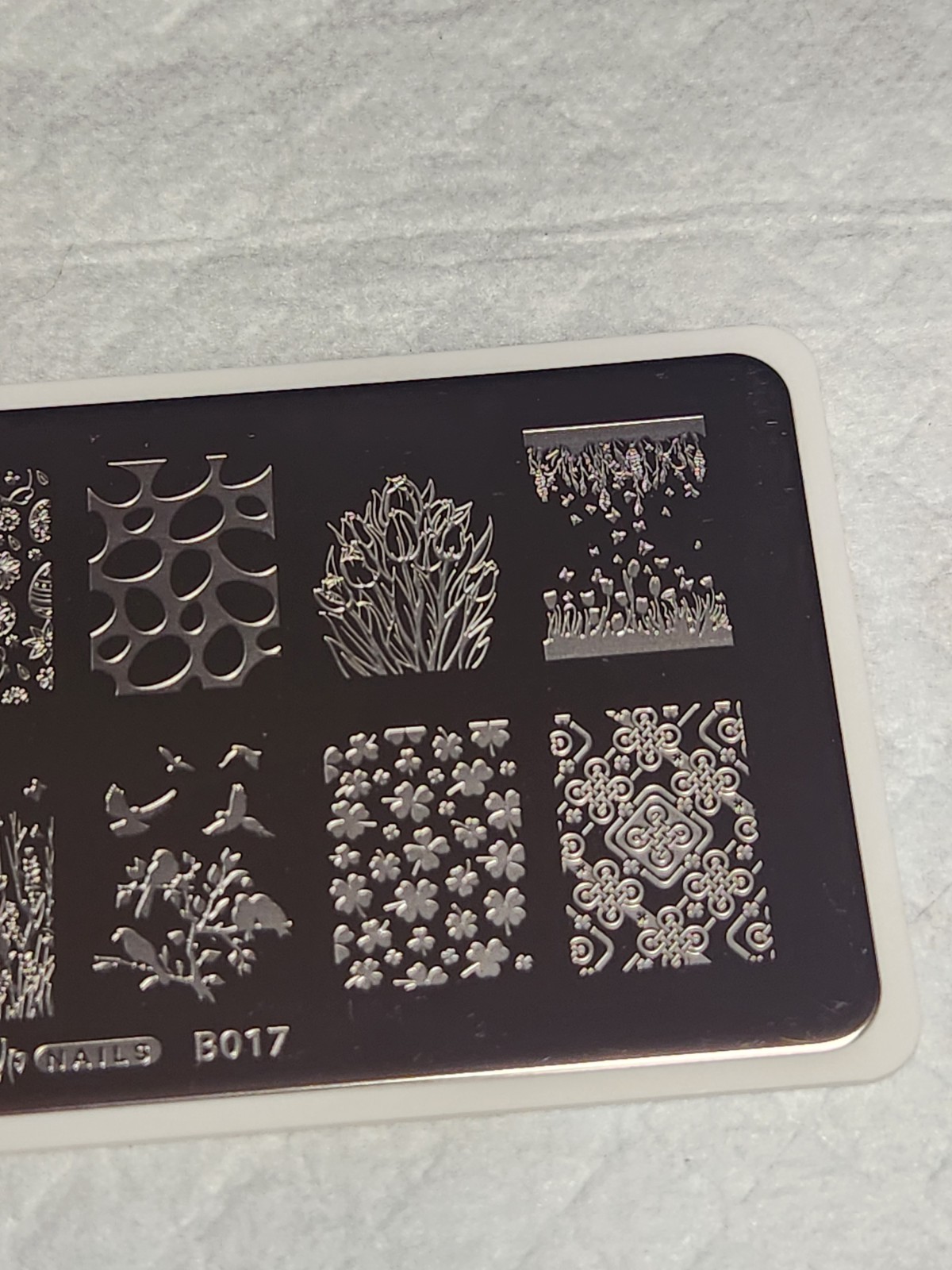 What’s Up Nail Stamping Plate B017 – Spring Elation