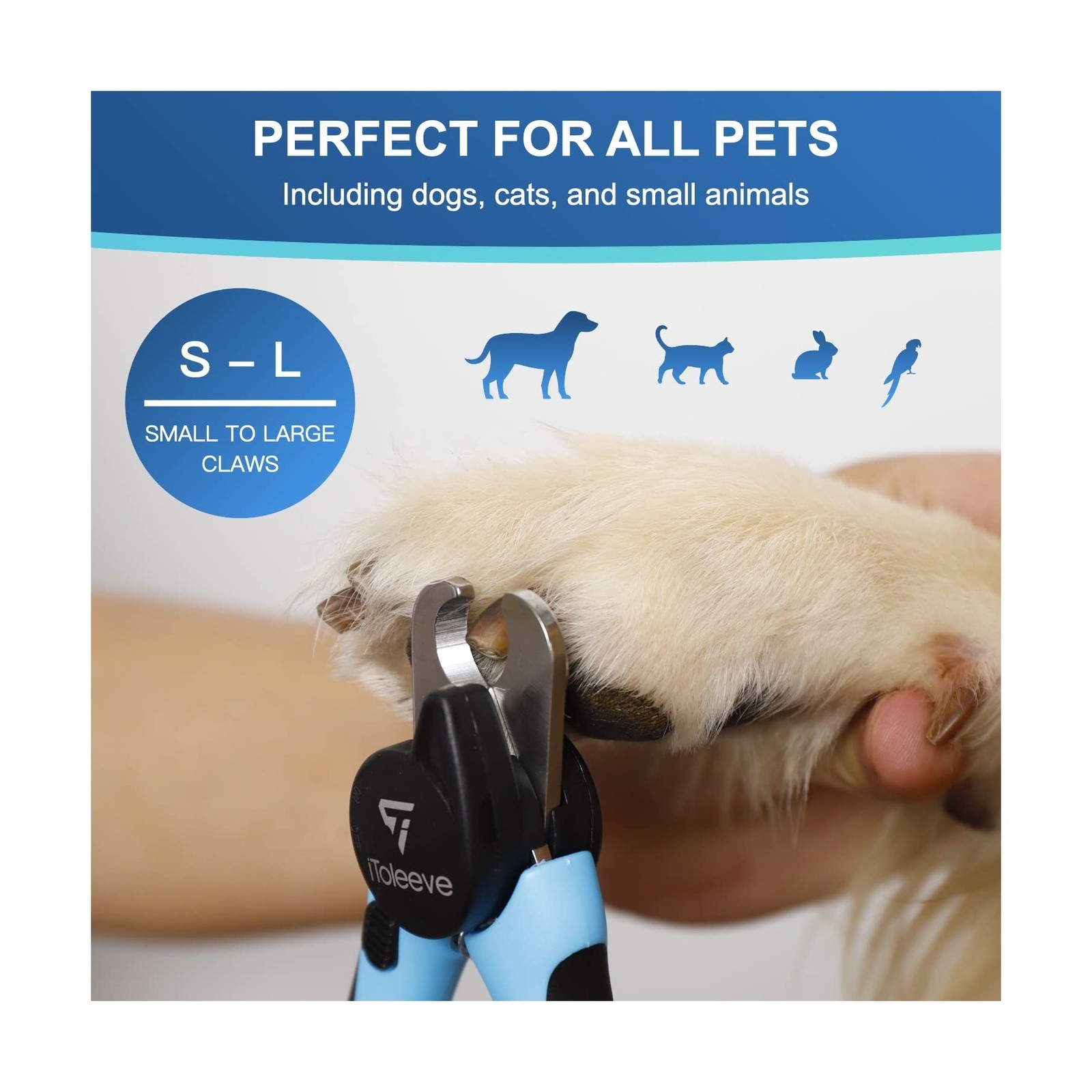 LED Dog Nail Clipper with Light, Illuminates Nails or Bloodline… Fast USA SHIP