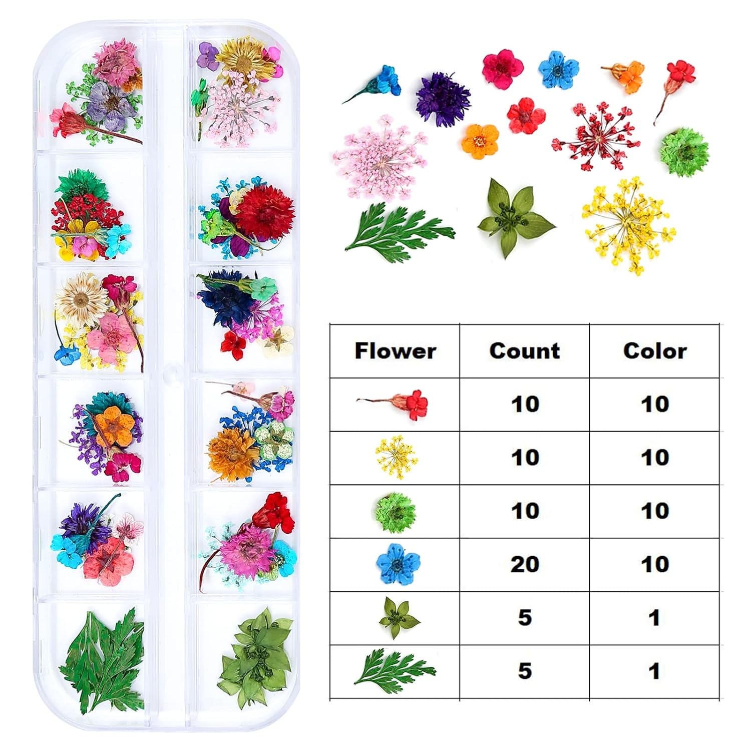 Dried Flowers for Resin Craft Nail Art Mix Small Mini Dry Flowers Pack of 6 B…