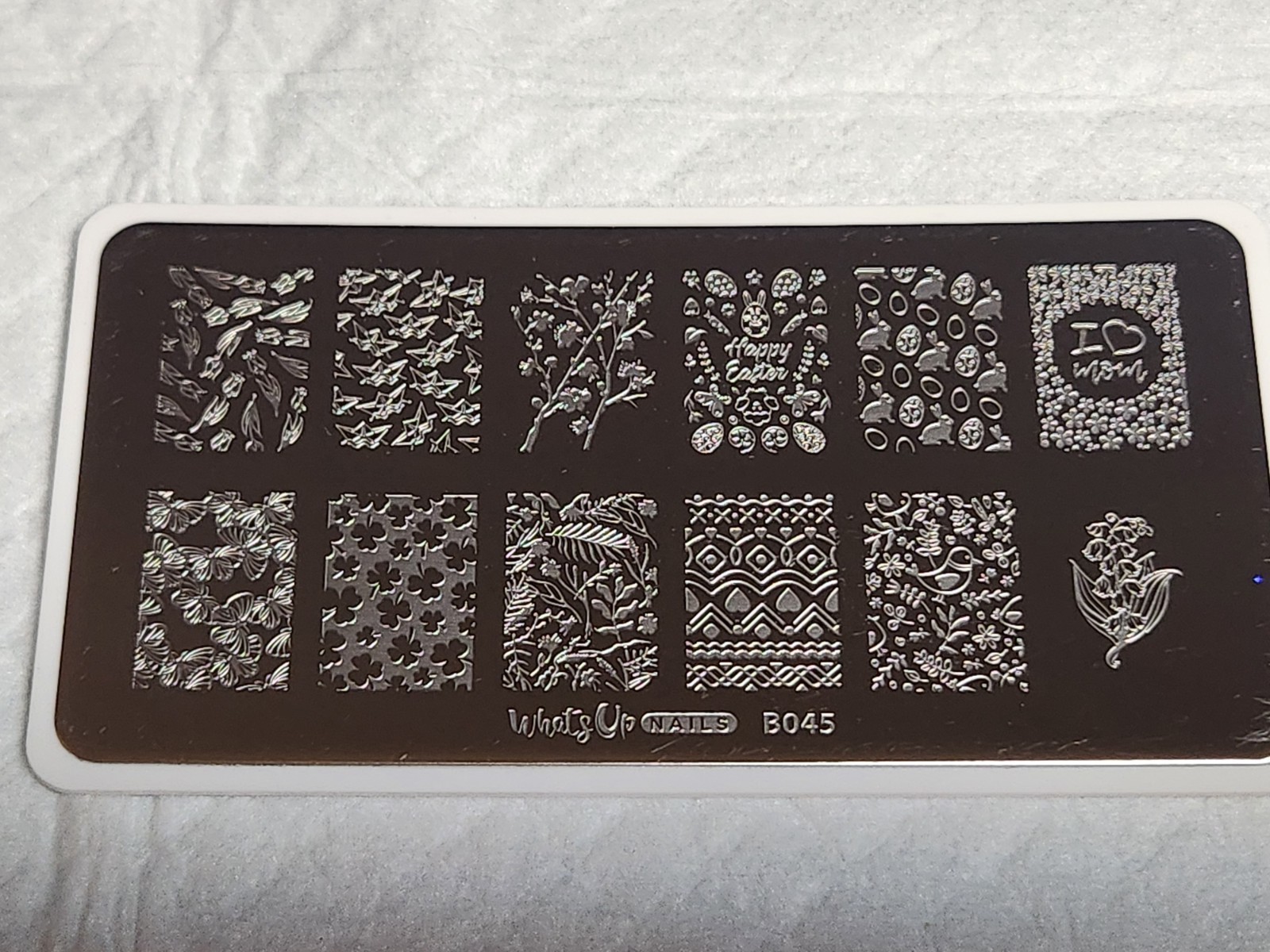 What’s Up Nail Stamping Plate B045 – Sprung on Spring