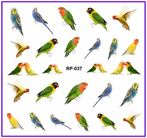 Nail art water transfer stickers decal yellow green orange blue parrots RP037