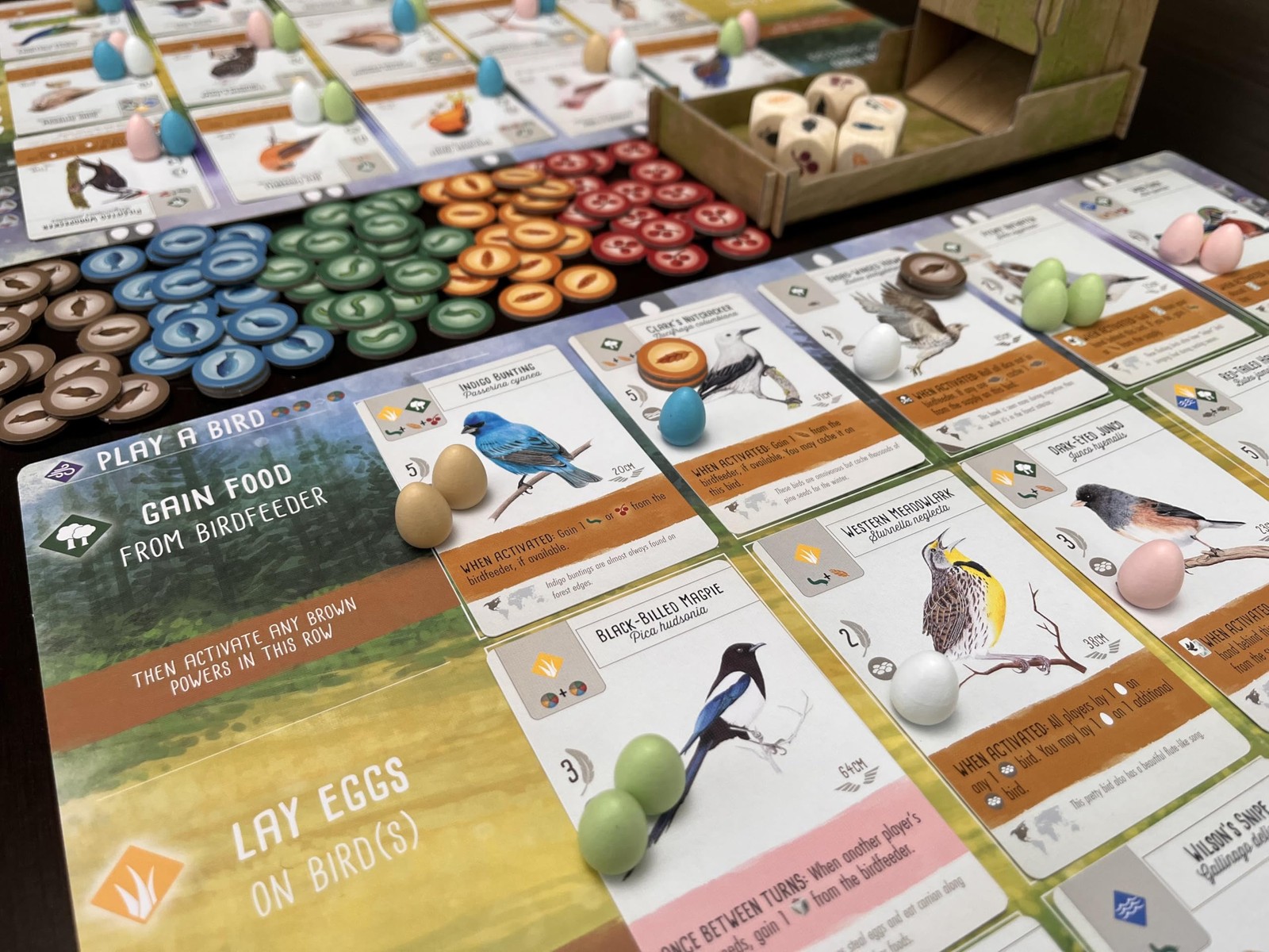 Stonemaier Games: Wingspan (Base Game) by Elizabeth Medium, Mixed Colours