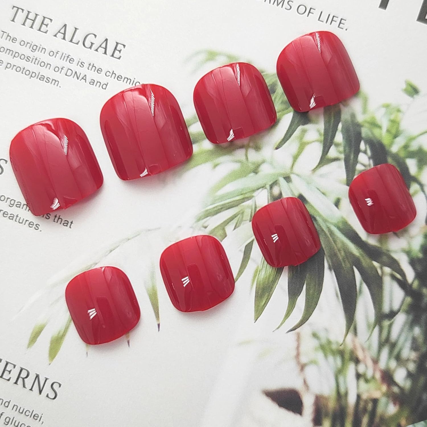Short Square Acrylic Press-On Toenails – Glossy Red Full Cover, 24 Pcs