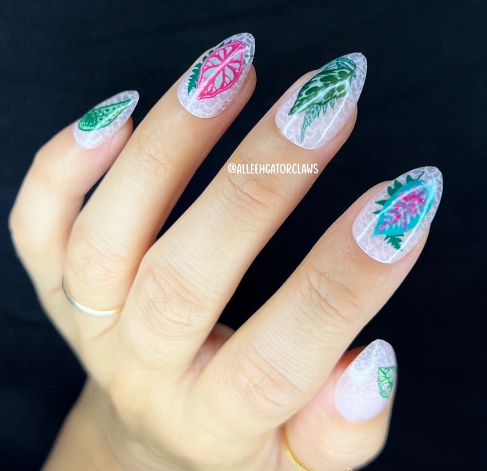 🌿🪴🌱MANIOLOGY Plant Lover M305 Nail Stamping Plate