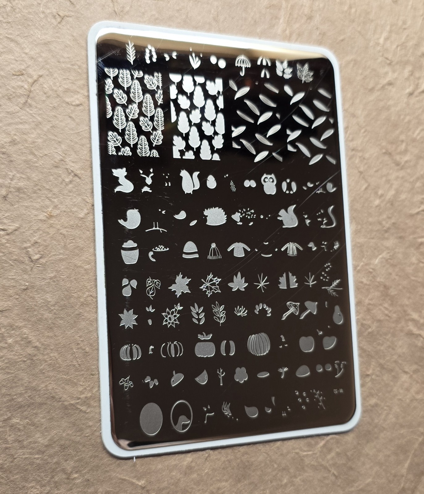 CJS Cjs-88 Clear Jelly Stamper Nail Stamp Plate All About Autumn Thanksgiving