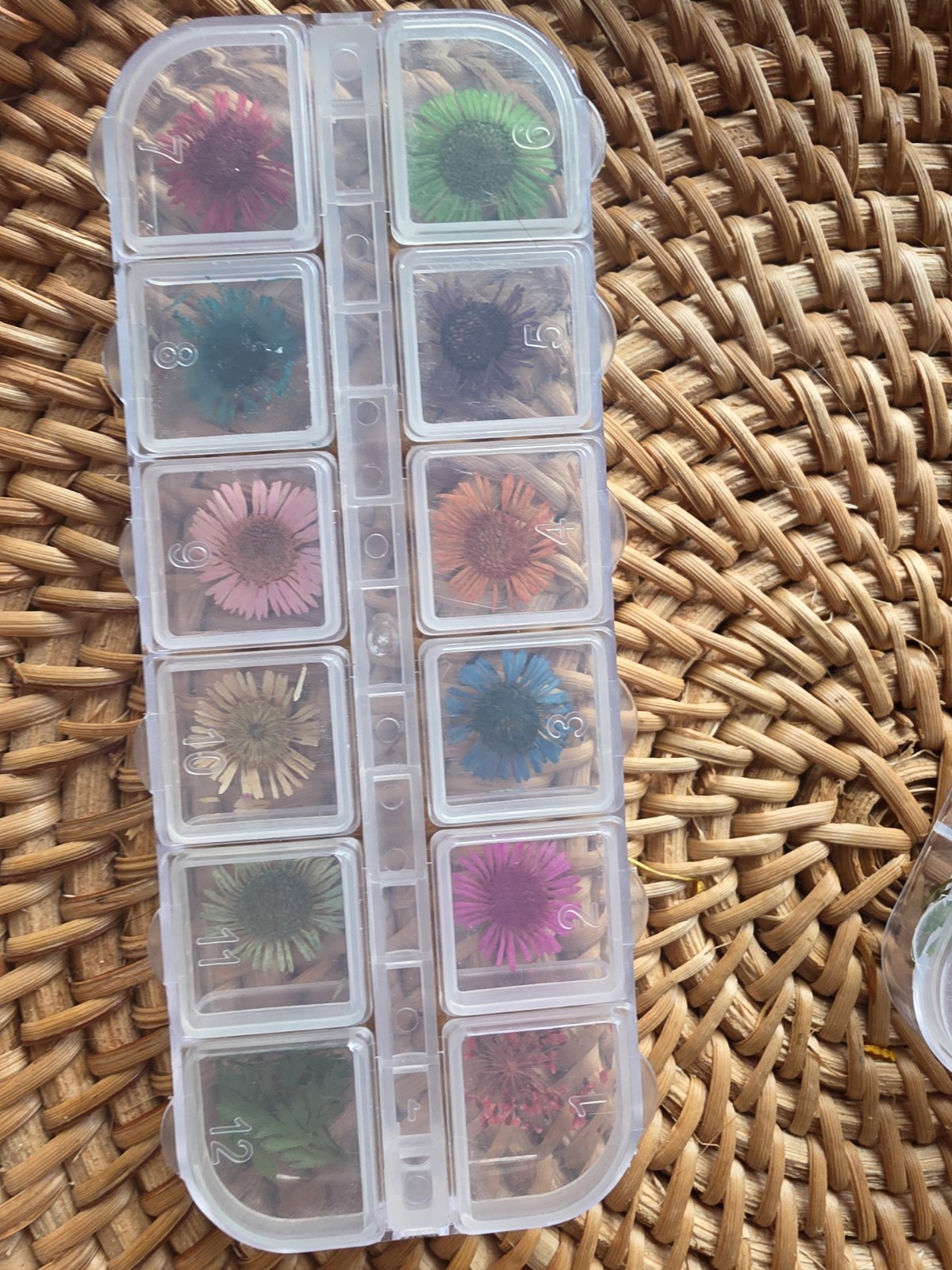NEW 3D Nail Art Flowers (Set of 3)