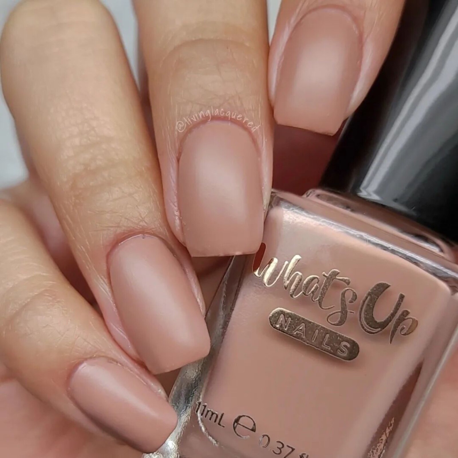 Whats Up Nails Rhodonite Nail Polish (Dusty Rose Matte) Nail Polish for Nail Art