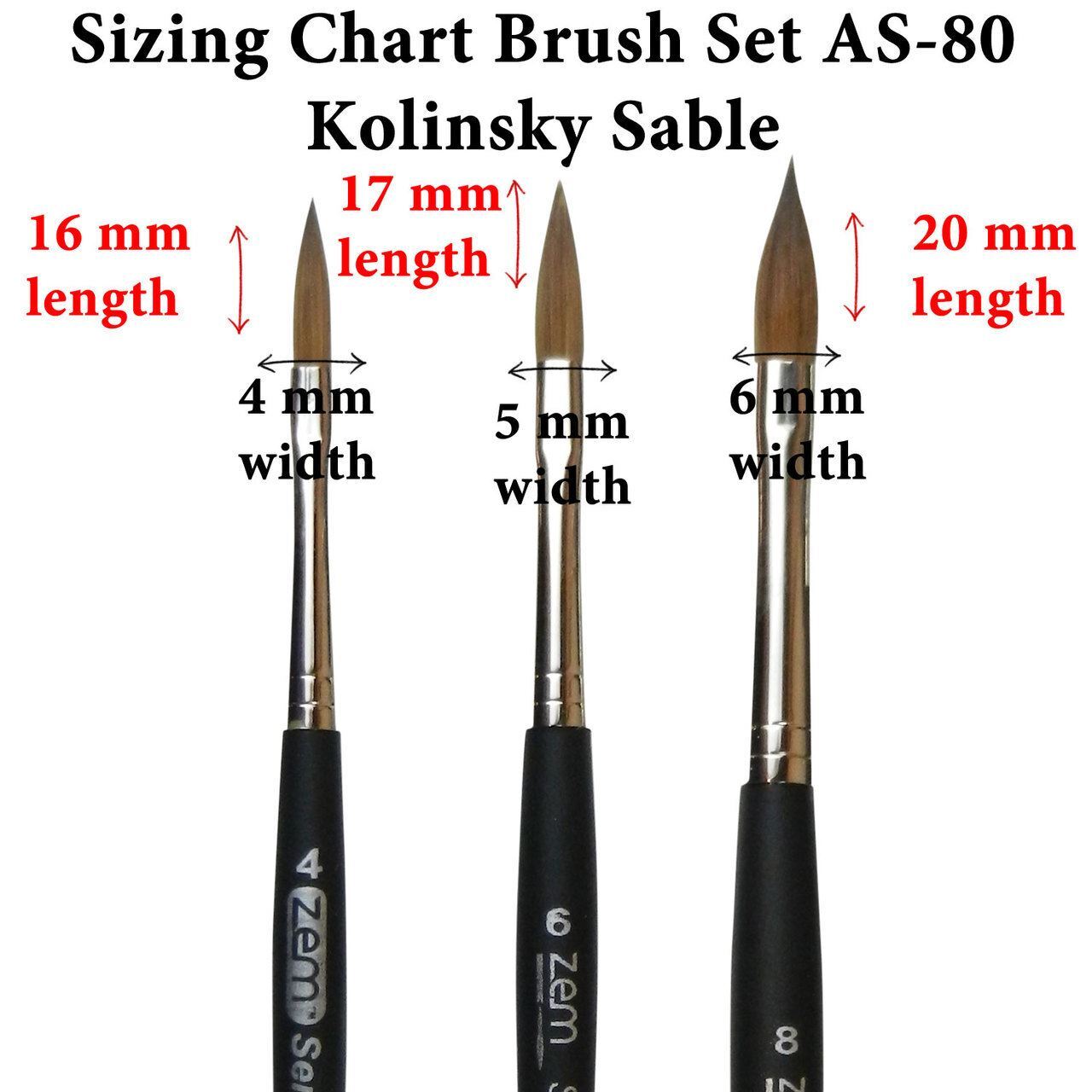 AS-80 Kolinsky Pure Sable Long Filbert Brush Set 3 pcs