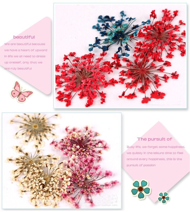 Natural Dry Flower Botanical Nail Art Decorations UV Gel Tips Manicure Accesorie