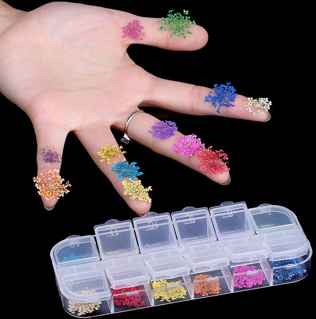 Natural Dry Flower Botanical Nail Art Decorations UV Gel Tips Manicure Accesorie
