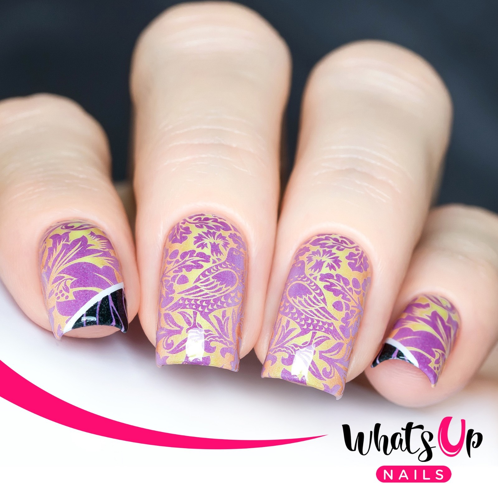 Whats Up Nails P109 Two Birds in the Bush Water Decals Sliders for Nail Art