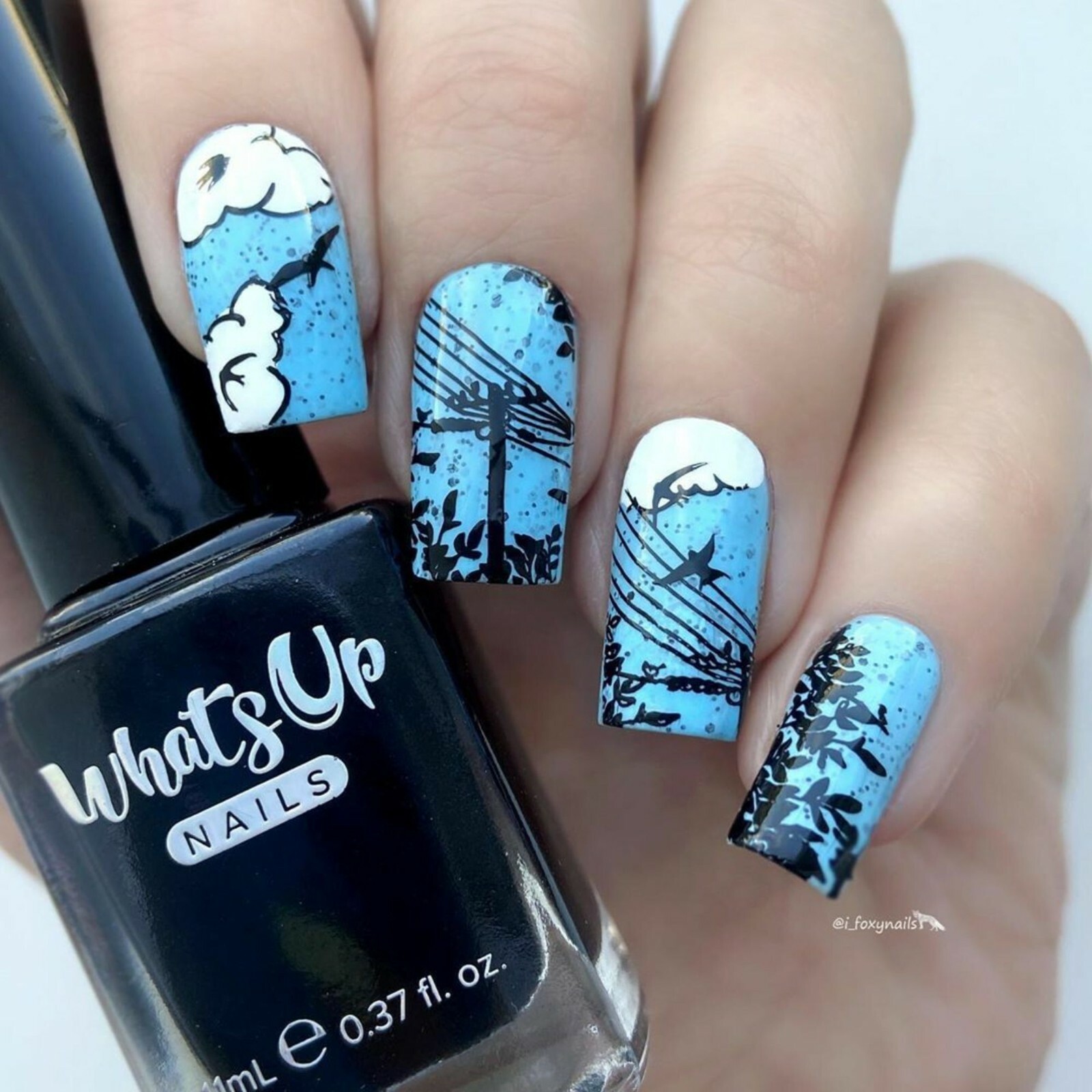 B061 Summer in the Countryside Stamping Plate For Stamped Nail Art Design
