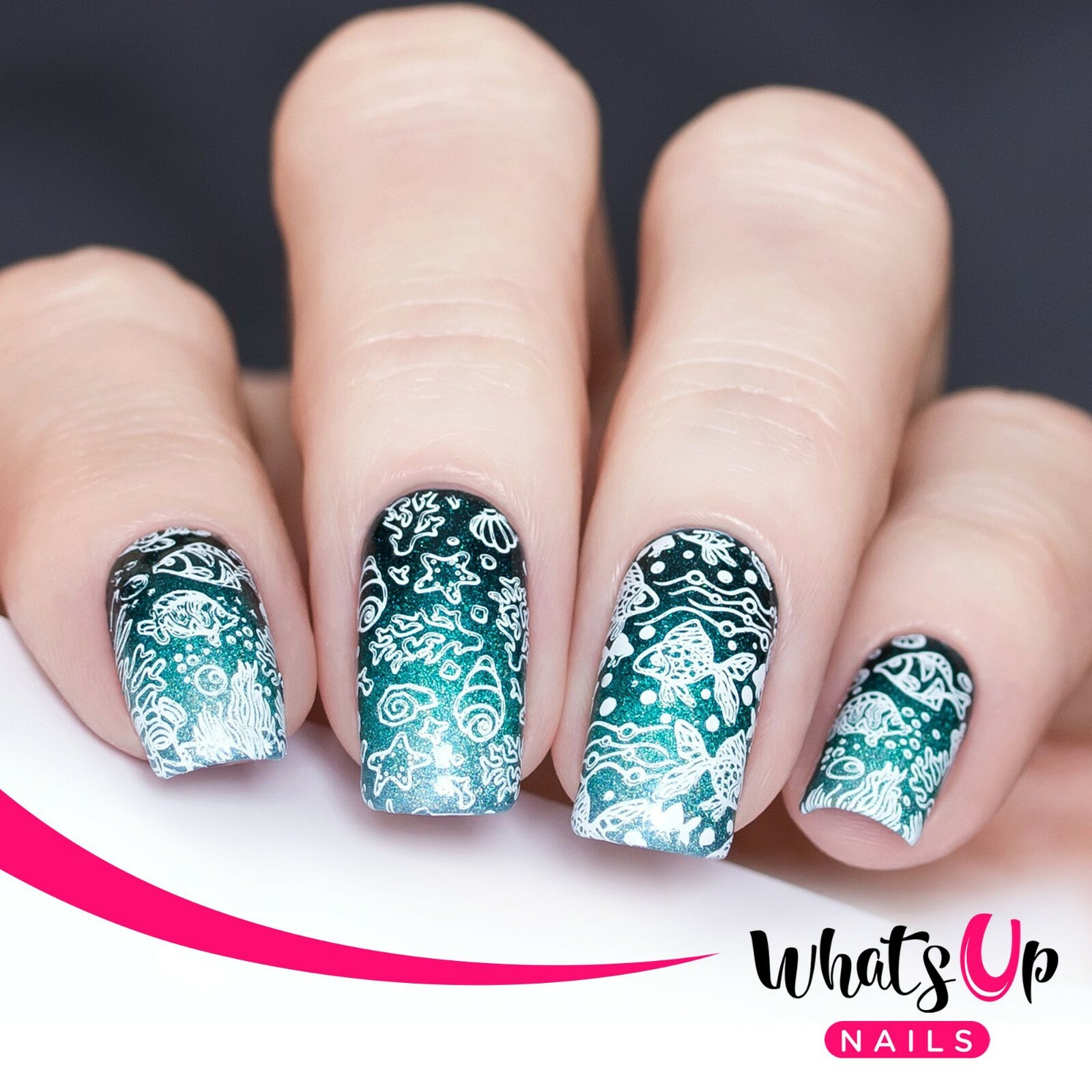 B056 Coasting to the Sea Stamping Plate For Stamped Nail Art Design
