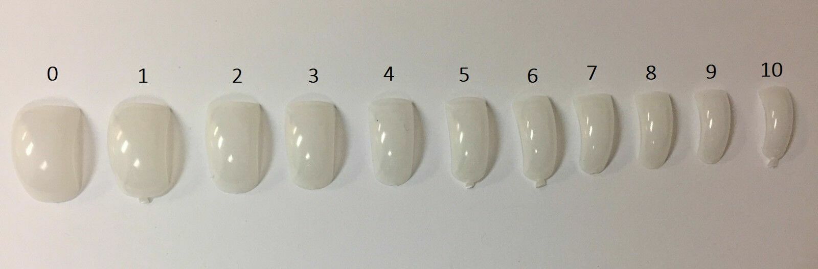 Lamour Aguila Curve Natural Tips – 500ct each size – (CHOOSE FROM SIZE 0-10)