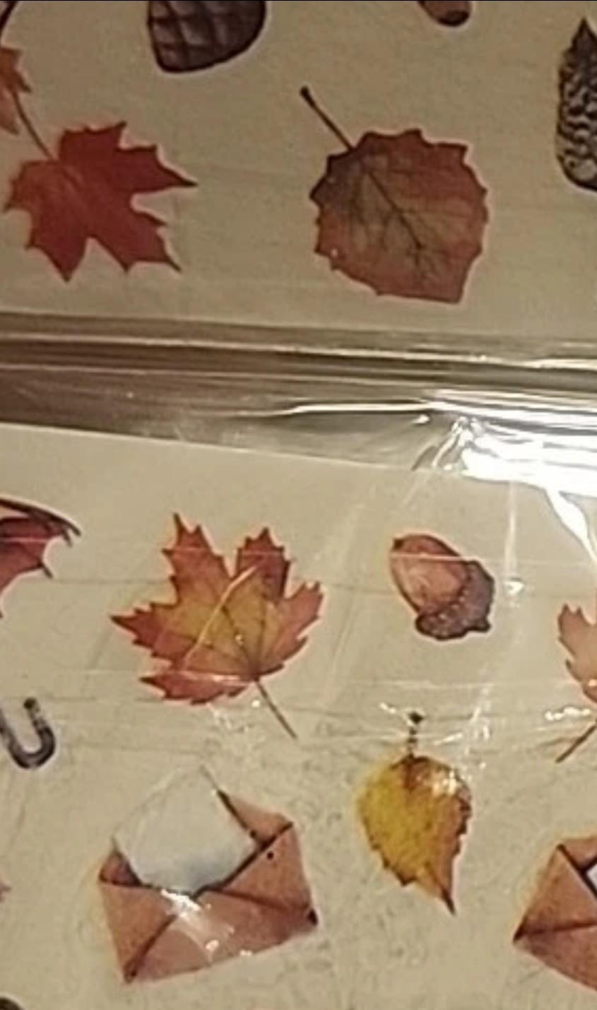 Nail Art Water Transfer Sticker Multicolor Maple Leaf Fall Decals Manicure(3pcs)