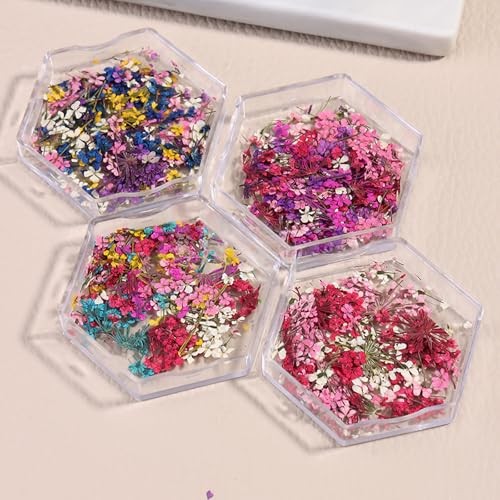 4 Boxes 3D Nail Art Stickers Natural Dry Flowers Nail Stickers Dried Flowers