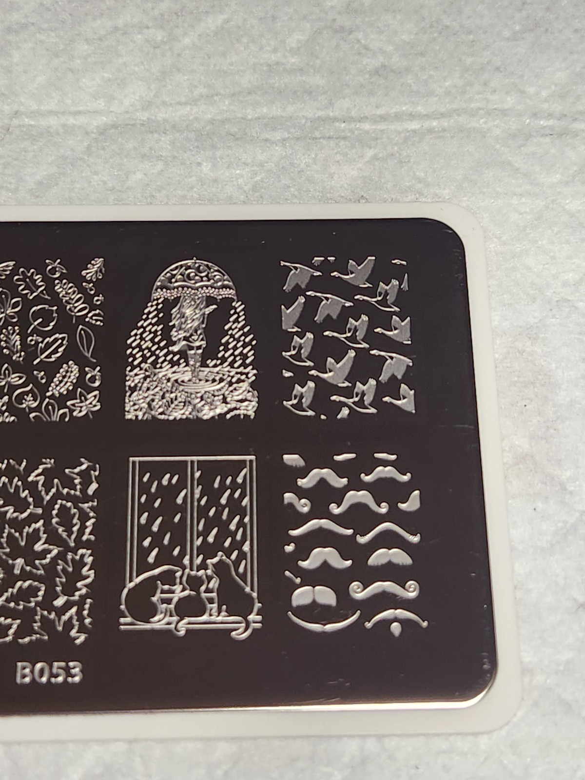 What’s Up Nail Stamping Plate B053 – That’s Pretty Autumn