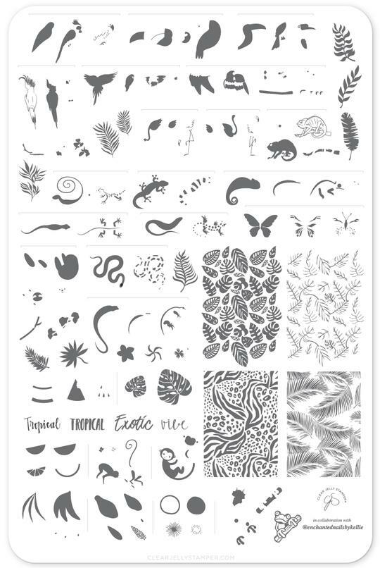 TROPICAL nail art stamping plates multiple brands Flowers,Palm Trees,Birds,Fruit