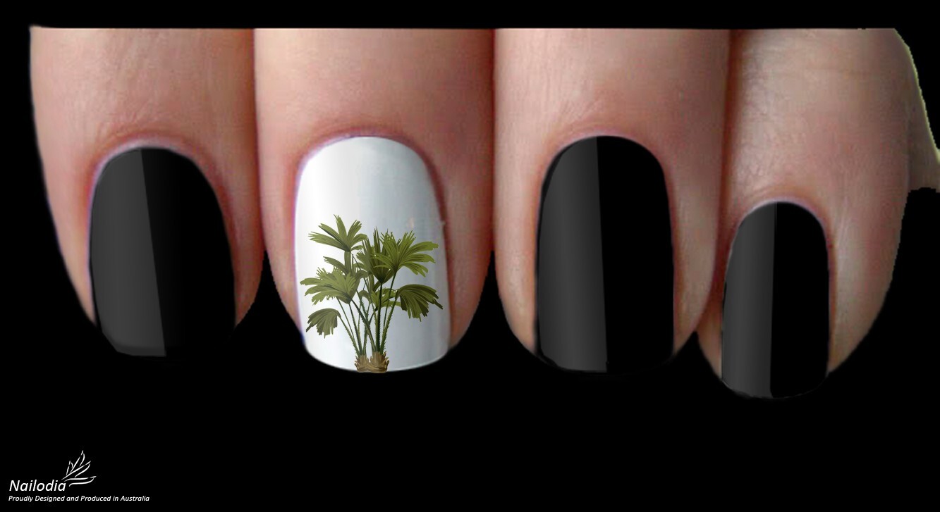 Palm Tropical Beach Tree Nail Art Decal Sticker Water Transfer Slider