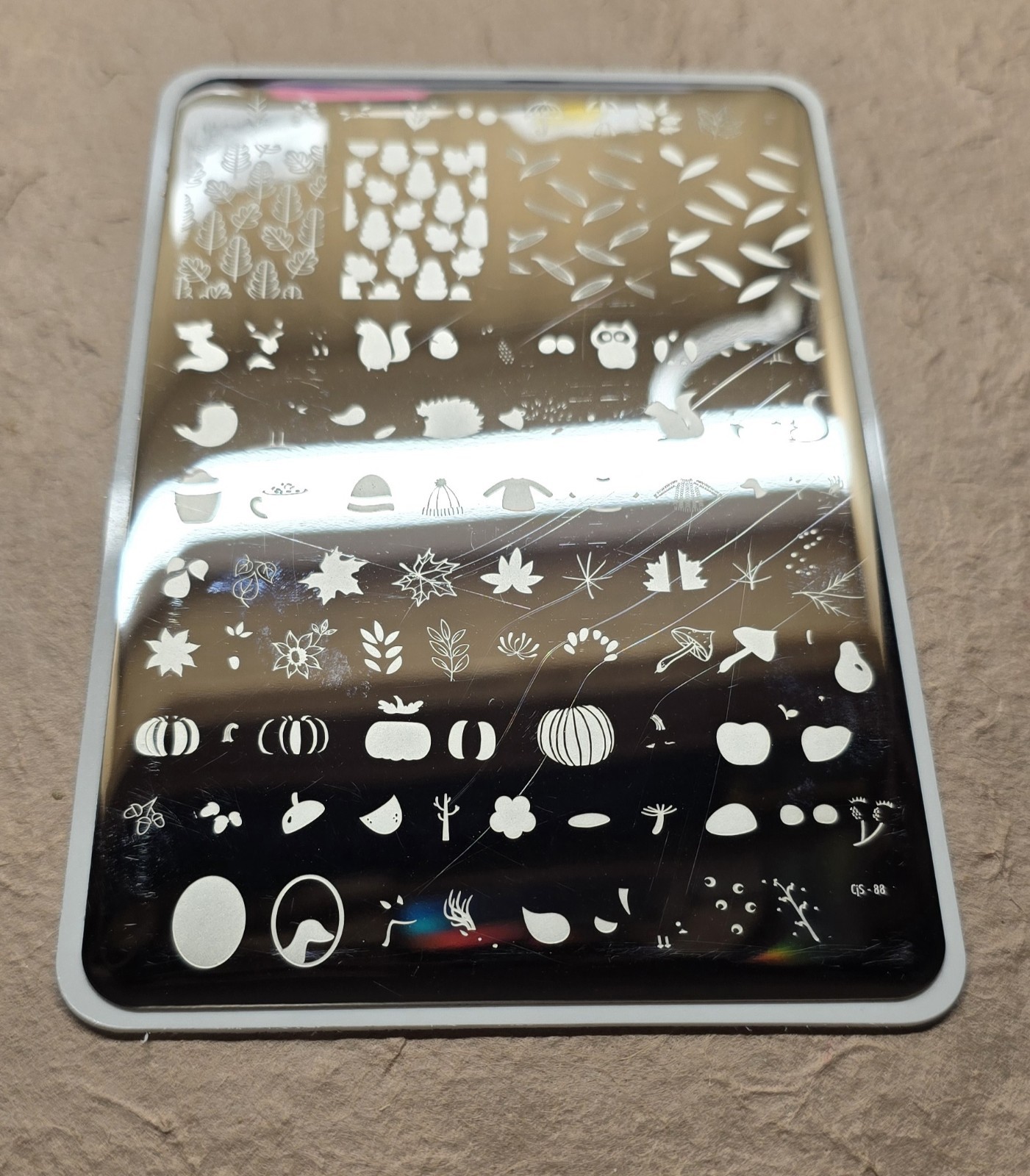 CJS Cjs-88 Clear Jelly Stamper Nail Stamp Plate All About Autumn Thanksgiving